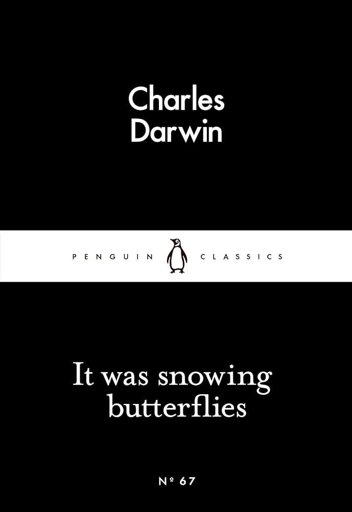 It Was Snowing Butterflies (Penguin Black)