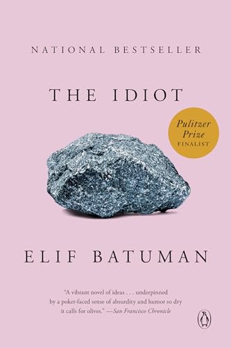 Idiot By Elif Batuman