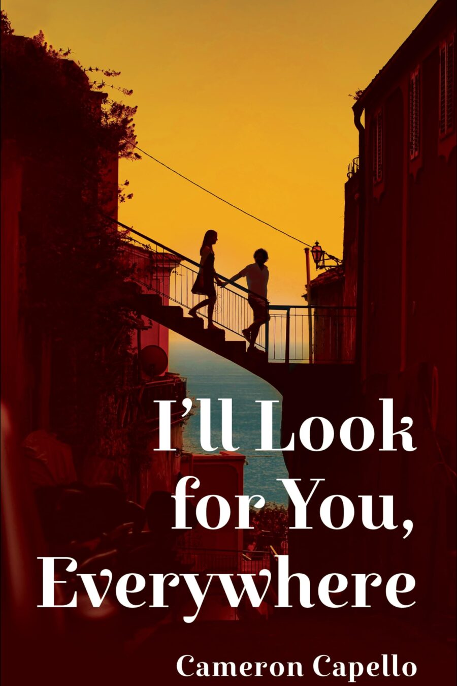 I'Ll Look For You Everywhere (Hc)