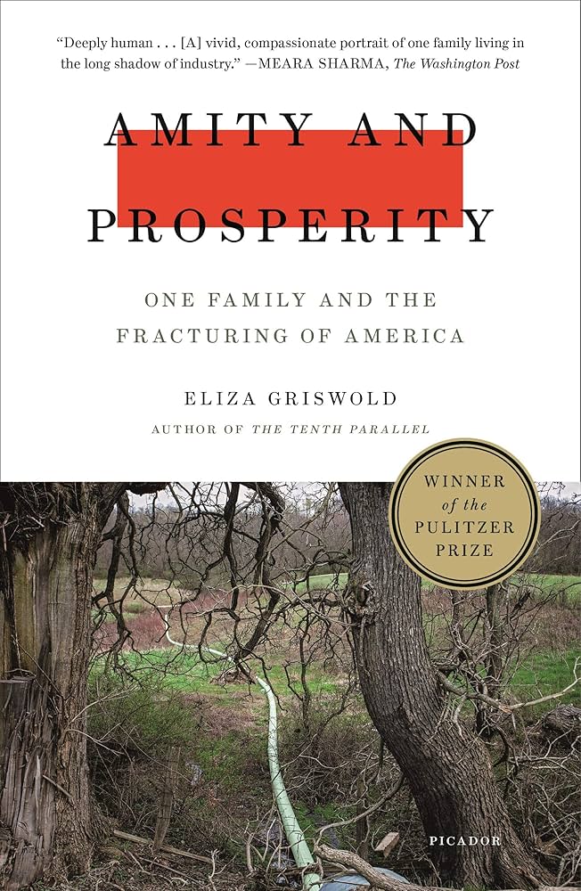 Amity And Prosperity: One Family And The Fracturing Of America