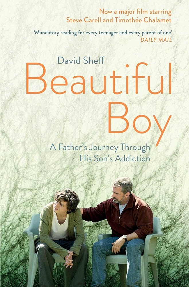 Beautiful Boy (Movie Cover)