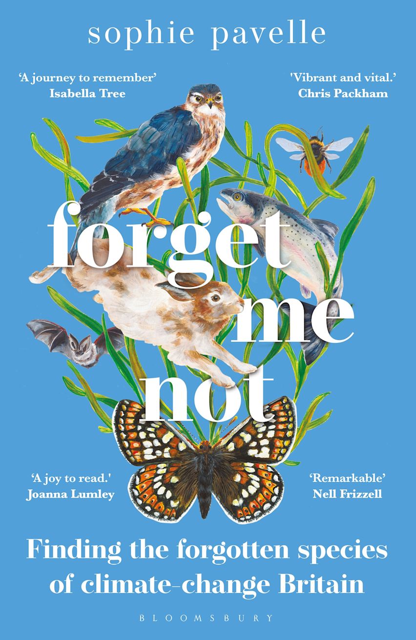 Forget Me Not: Finding The Forgotten Species Of Climate-Change Britain
