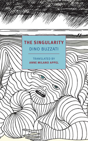 Singularity (Nyrb)
