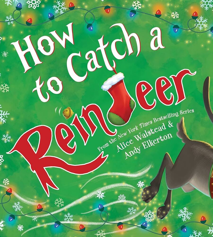 How To Catch A Reindeer