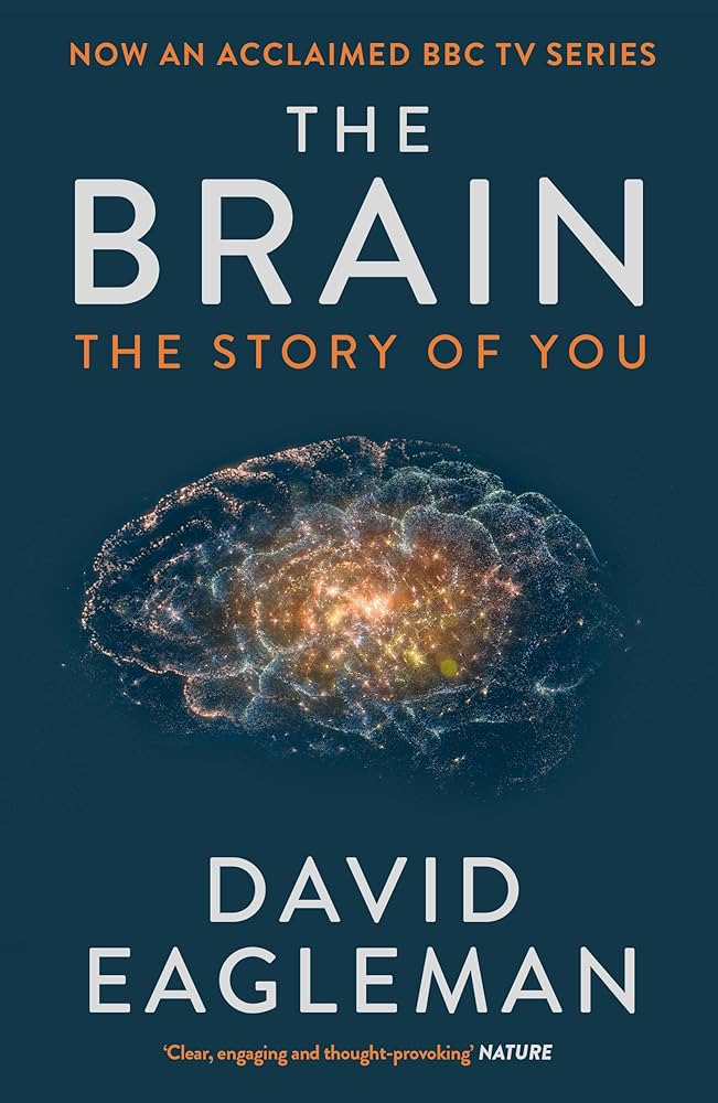 Brain: Story Of You
