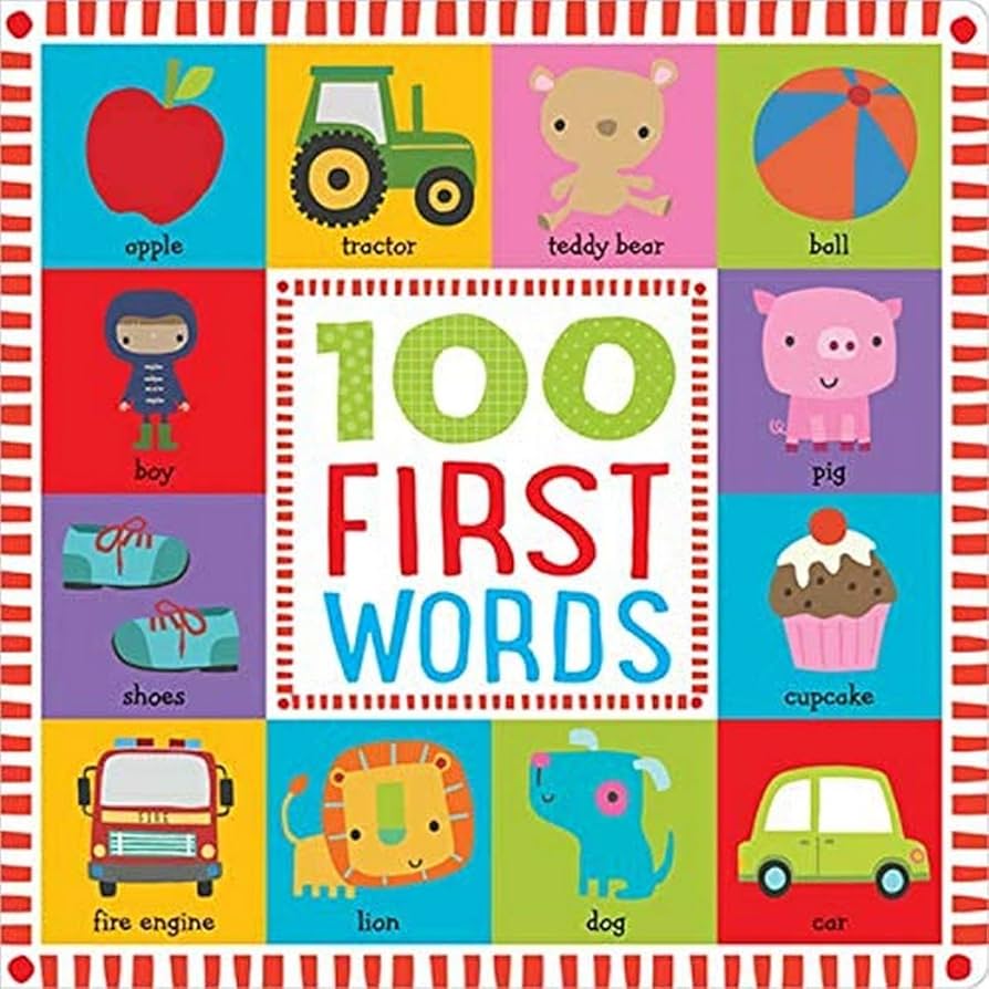 100 First Words ( Large)