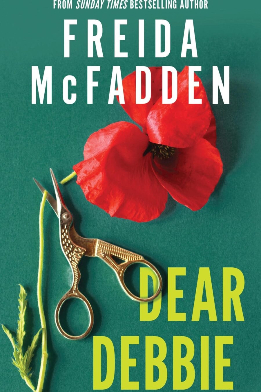 Dear Debbie Book Cover