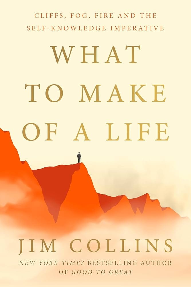 What To Make Of A Life Book Cover
