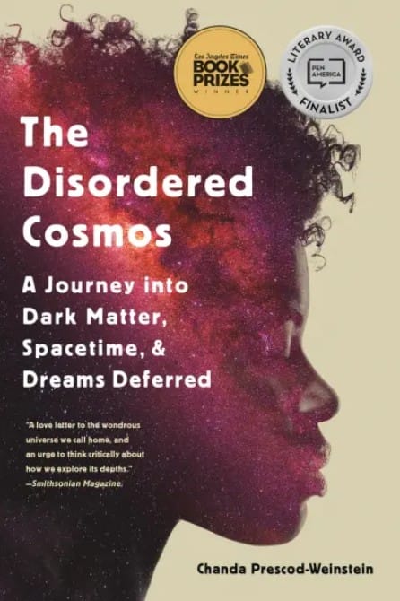 Disordered Cosmos Book Cover