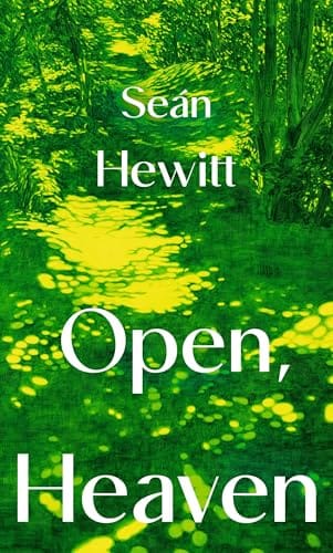 Open Heaven Book Cover