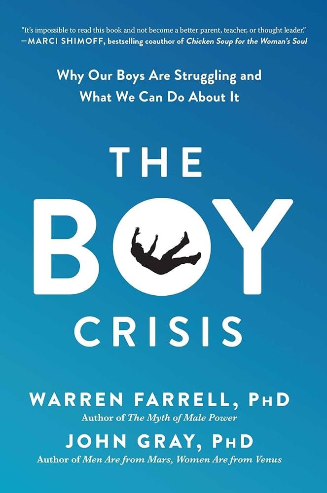 Boy Crisis Book Cover