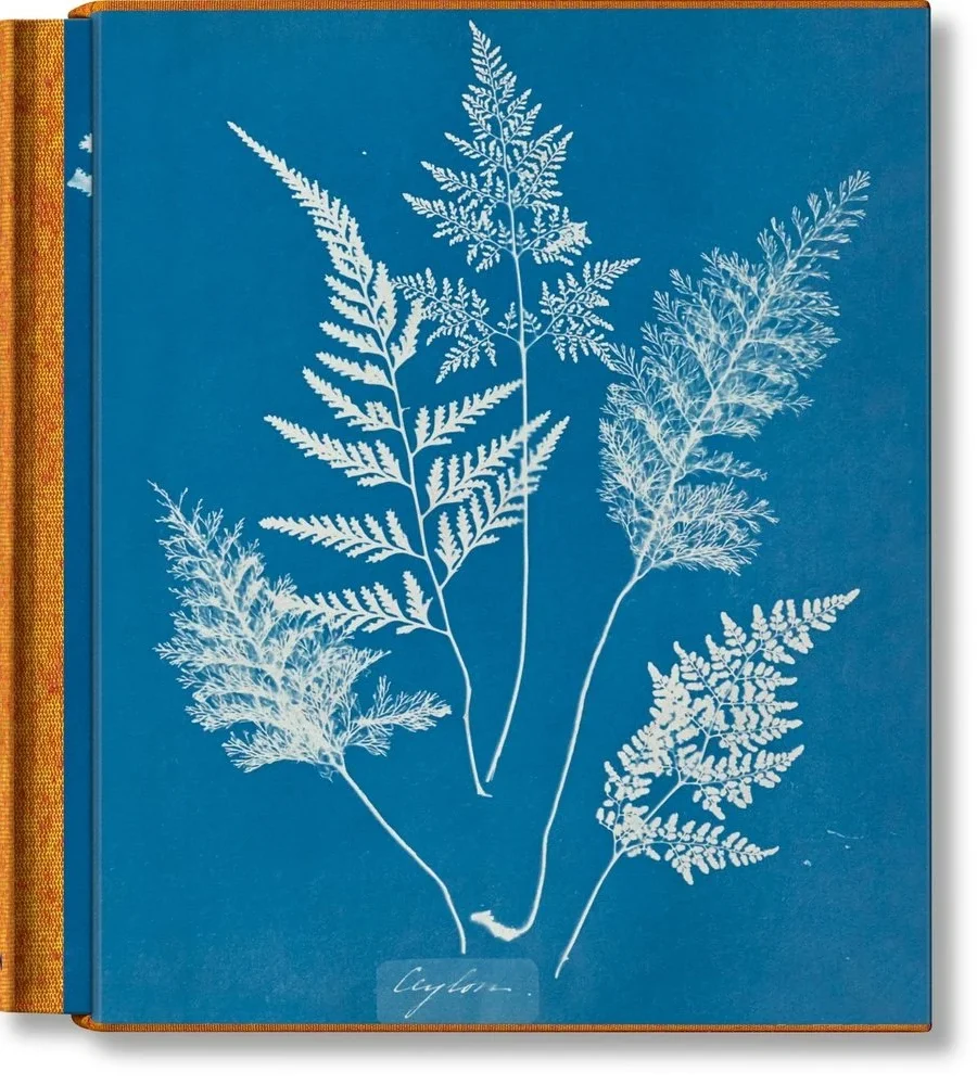 Anna Atkins: Cyanotypes by Peter Walther Book Cover
