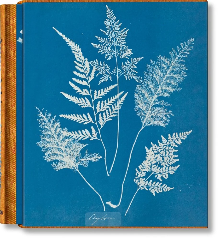 Anna Atkins: Cyanotypes by Peter Walther Book Cover