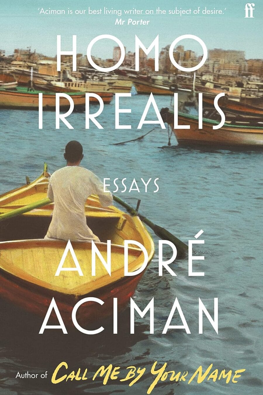 Homo Irrealis Book Cover