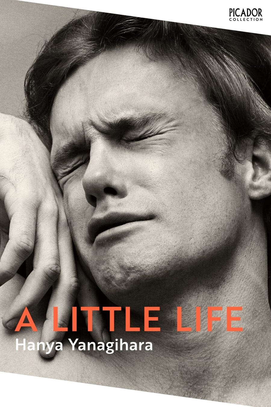 Little Life (New Uk) Book Cover